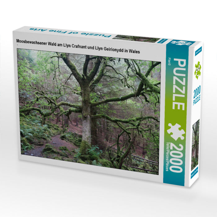 Moosbewachsener Wald am Llyn Crafnant und Llyn Geirionydd in Wales 2000 Teile Puzzle quer - CALVENDO Foto-Puzzle'