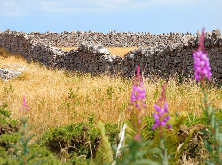 Dry stone wall in Wales - CALVENDO photo puzzle 