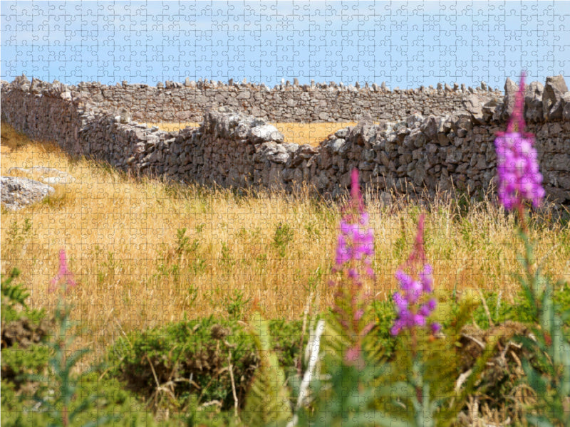 Dry stone wall in Wales - CALVENDO photo puzzle 