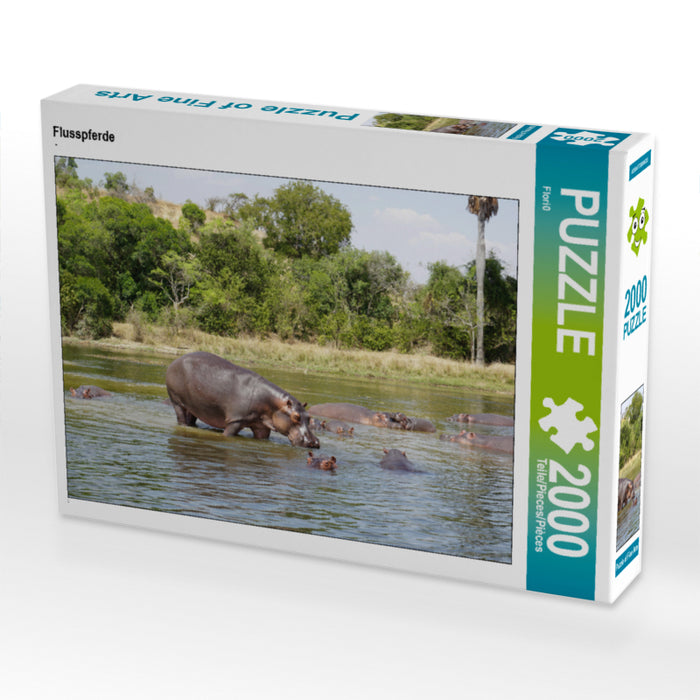 Flusspferde 2000 Teile Puzzle quer - CALVENDO Foto-Puzzle'