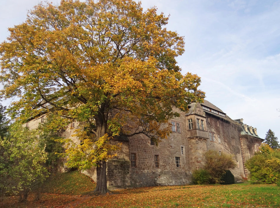 Schloss Burgscheidungen/Sachsen-Anhalt 2000 Teile Puzzle quer - CALVENDO Foto-Puzzle'