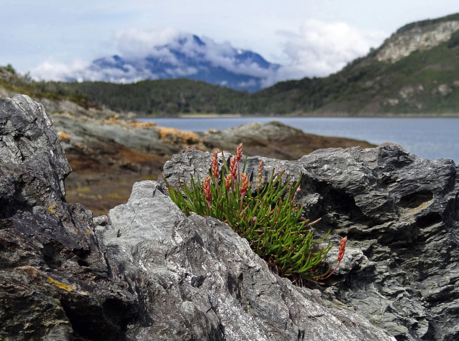 Tierra del Fuego - Große Feuerlandinsel/Argentinien 2000 Teile Puzzle quer - CALVENDO Foto-Puzzle'