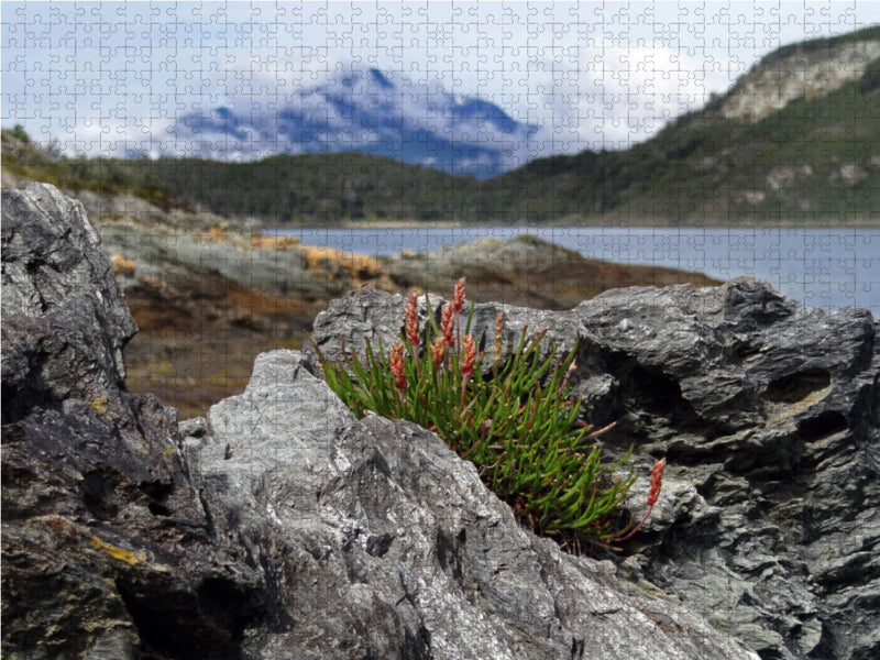 Tierra del Fuego - Große Feuerlandinsel/Argentinien 2000 Teile Puzzle quer - CALVENDO Foto-Puzzle'