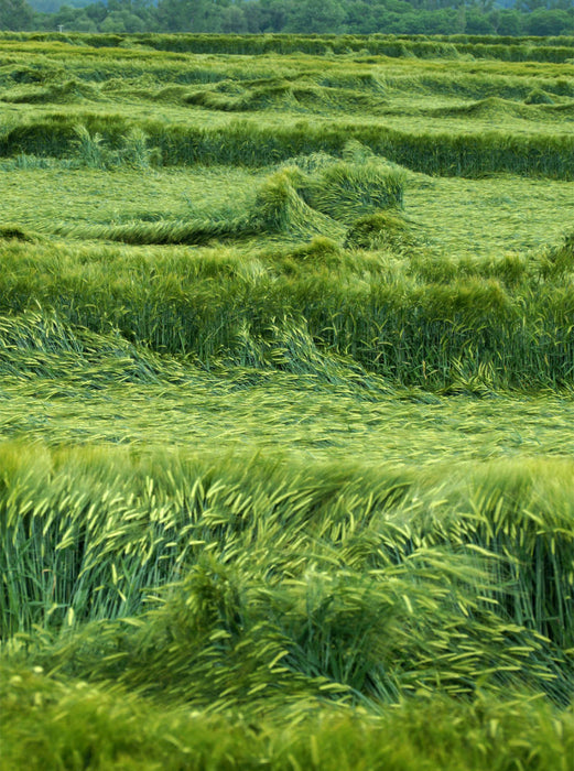 Sur le terrain - Puzzle photo CALVENDO 
