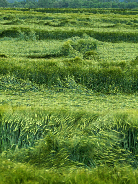 Sur le terrain - Puzzle photo CALVENDO 