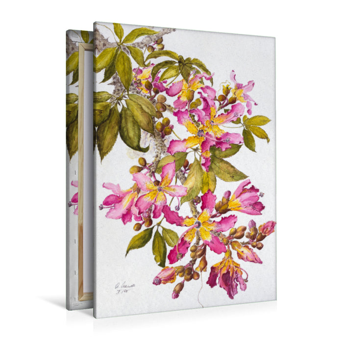 Premium Textil-Leinwand Premium Textil-Leinwand 80 cm x 120 cm hoch Madeira: Zweig v. Kapok- oder Seidenwollbaum (Chorisia speziosa)