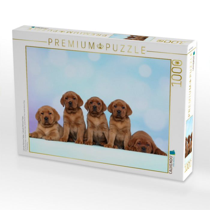 Labrador Retriever Welpe / Labrador Retriever Puppy - CALVENDO Foto-Puzzle'