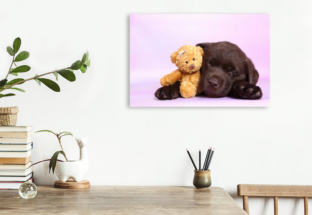 Premium Textil-Leinwand Premium Textil-Leinwand 120 cm x 80 cm quer Labrador Retriever Welpe / Labrador Retriever Puppy