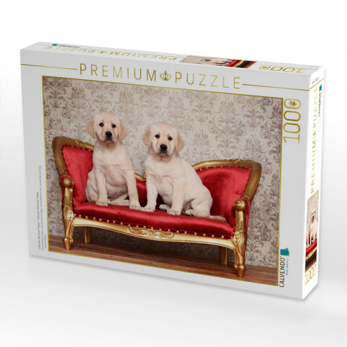 Labrador Retriever Welpe / Labrador Retriever Puppy - CALVENDO Foto-Puzzle'