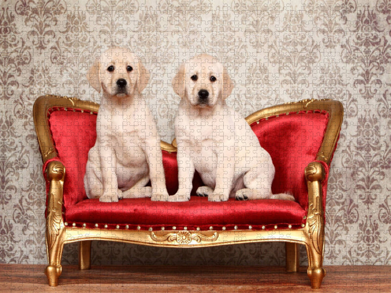 Labrador Retriever Welpe / Labrador Retriever Puppy - CALVENDO Foto-Puzzle'