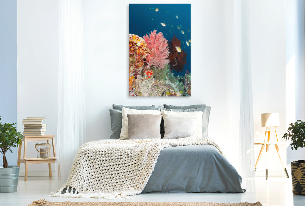 Premium Textil-Leinwand Premium Textil-Leinwand 80 cm x 120 cm  hoch Ein Motiv aus dem Kalender Farbenfrohe Unterwasserwelt