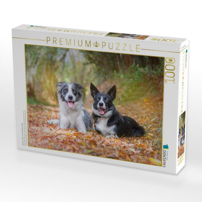 Border Collies im herbstlichen Wald - CALVENDO Foto-Puzzle'