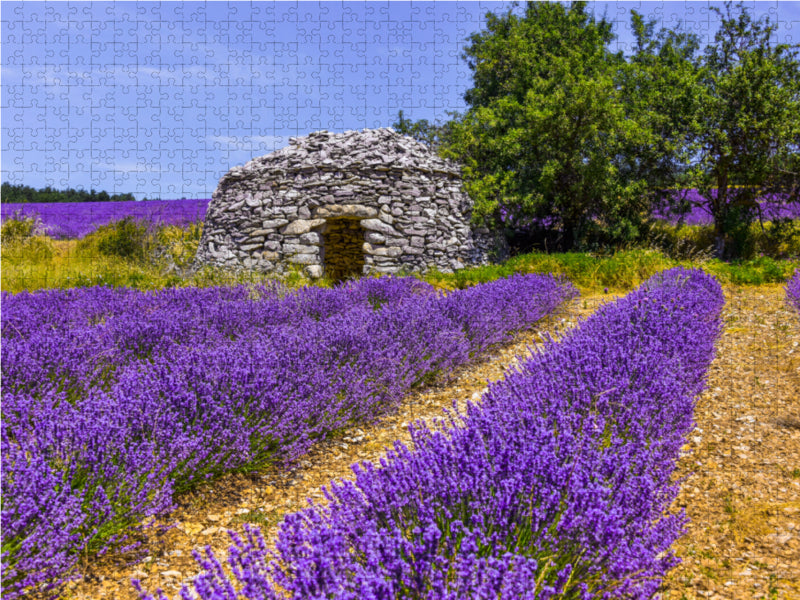 Lavender field with stone hut - CALVENDO photo puzzle 
