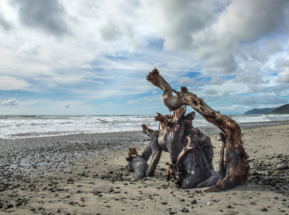 Ngakawau Beach, New Zealand - CALVENDO photo puzzle 