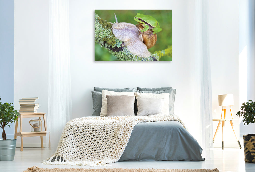 Premium textile canvas Premium textile canvas 120 cm x 80 cm landscape tree frog/vine snail 