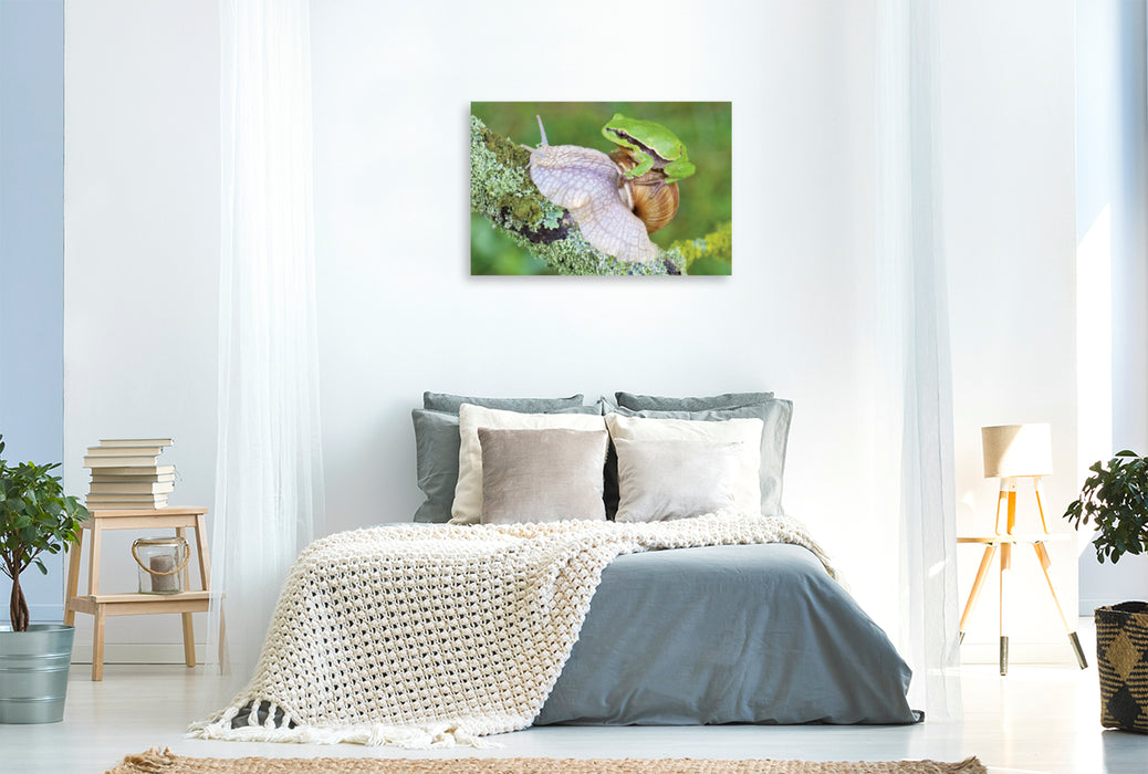 Premium textile canvas Premium textile canvas 120 cm x 80 cm landscape tree frog/vine snail 
