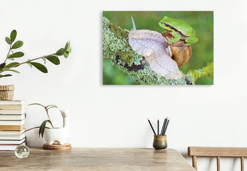 Premium textile canvas Premium textile canvas 120 cm x 80 cm landscape tree frog/vine snail 