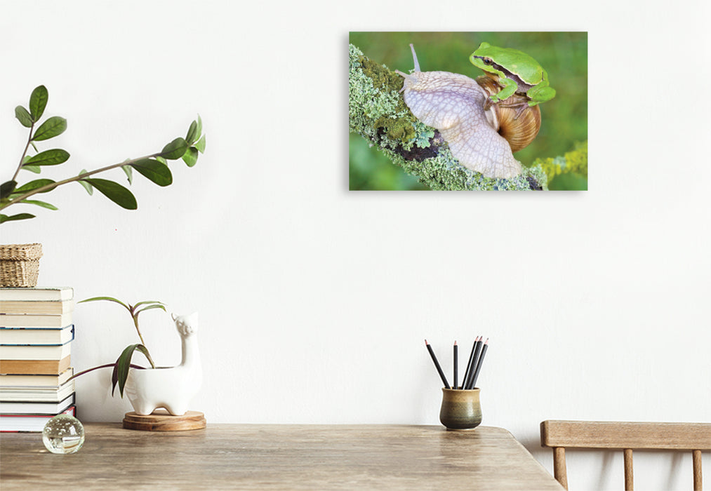 Premium textile canvas Premium textile canvas 120 cm x 80 cm landscape tree frog/vine snail 