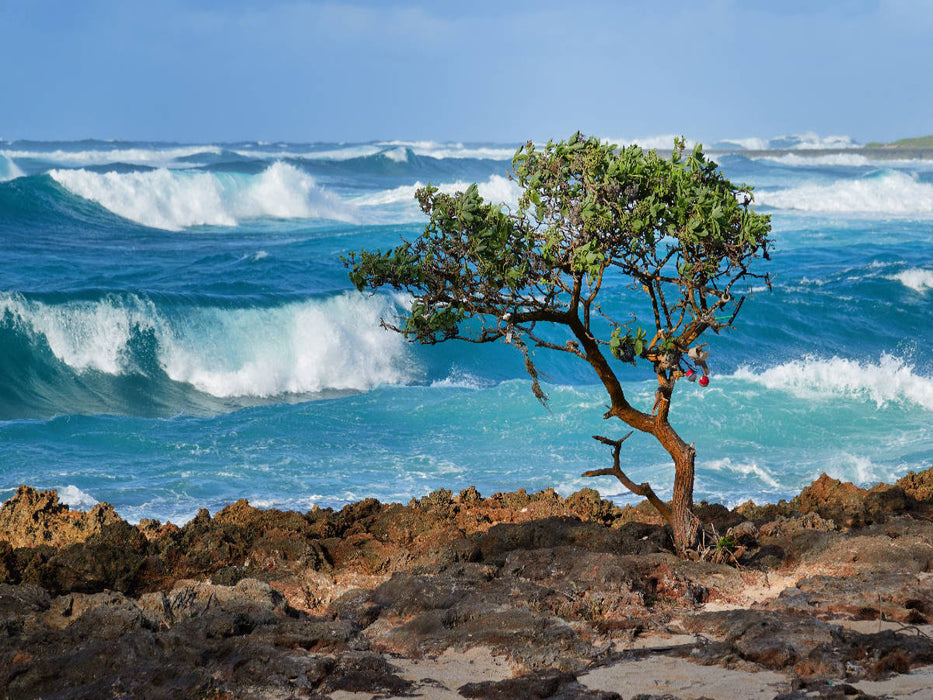 Wellen am Strand von North Shore auf der Insel Oahu auf Hawaii - CALVENDO Foto-Puzzle'