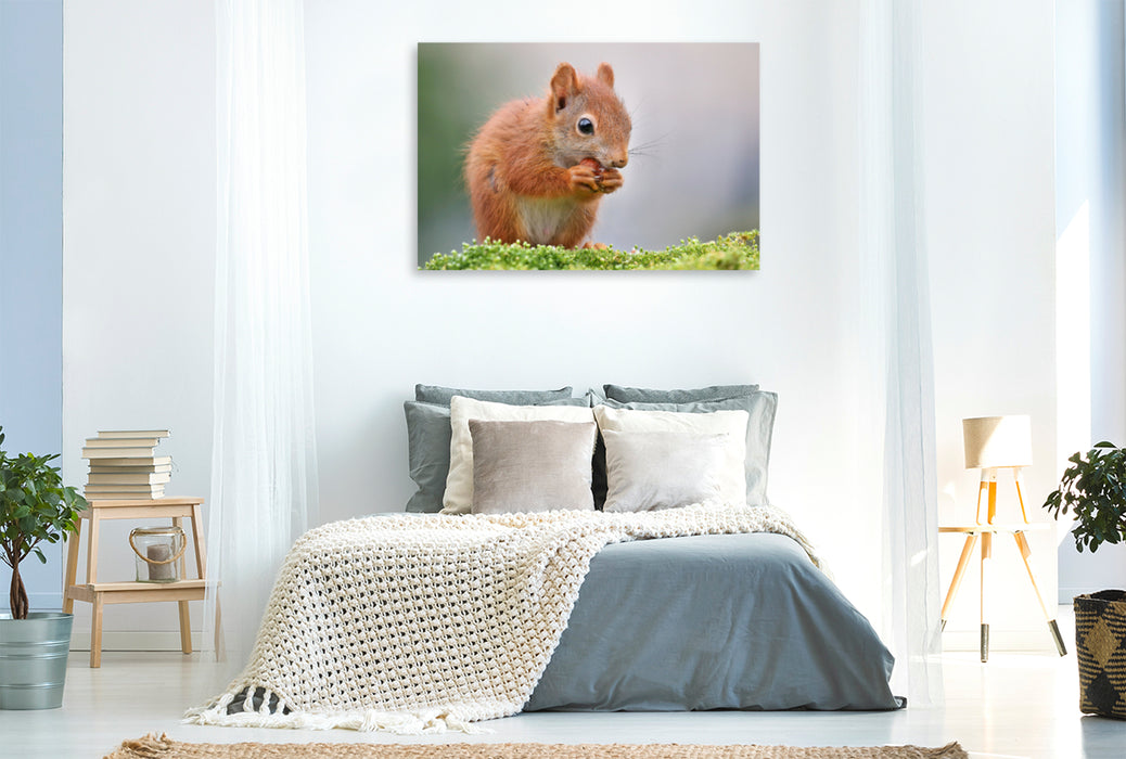 Premium textile canvas Premium textile canvas 120 cm x 80 cm landscape Jax with 11.5 weeks 