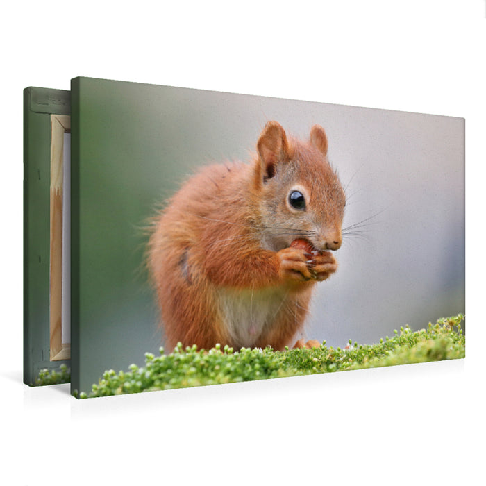 Premium textile canvas Premium textile canvas 120 cm x 80 cm landscape Jax with 11.5 weeks 