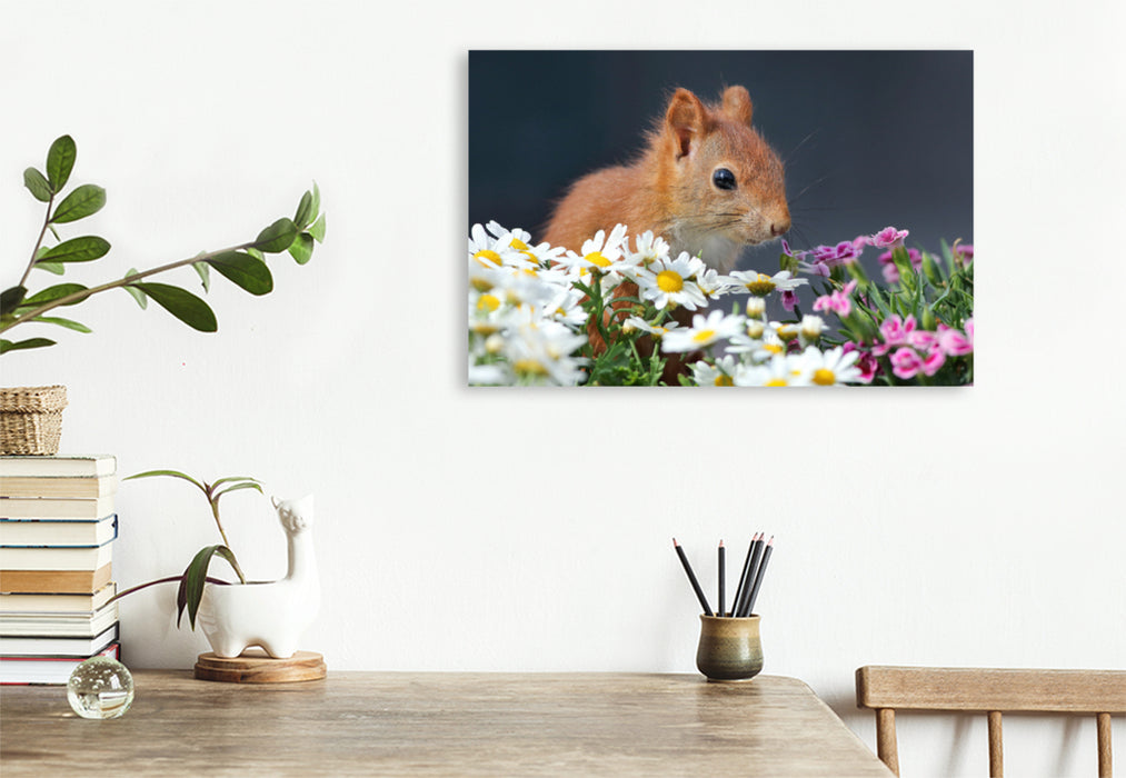 Premium textile canvas Premium textile canvas 120 cm x 80 cm landscape Chibs the flower squirrel 