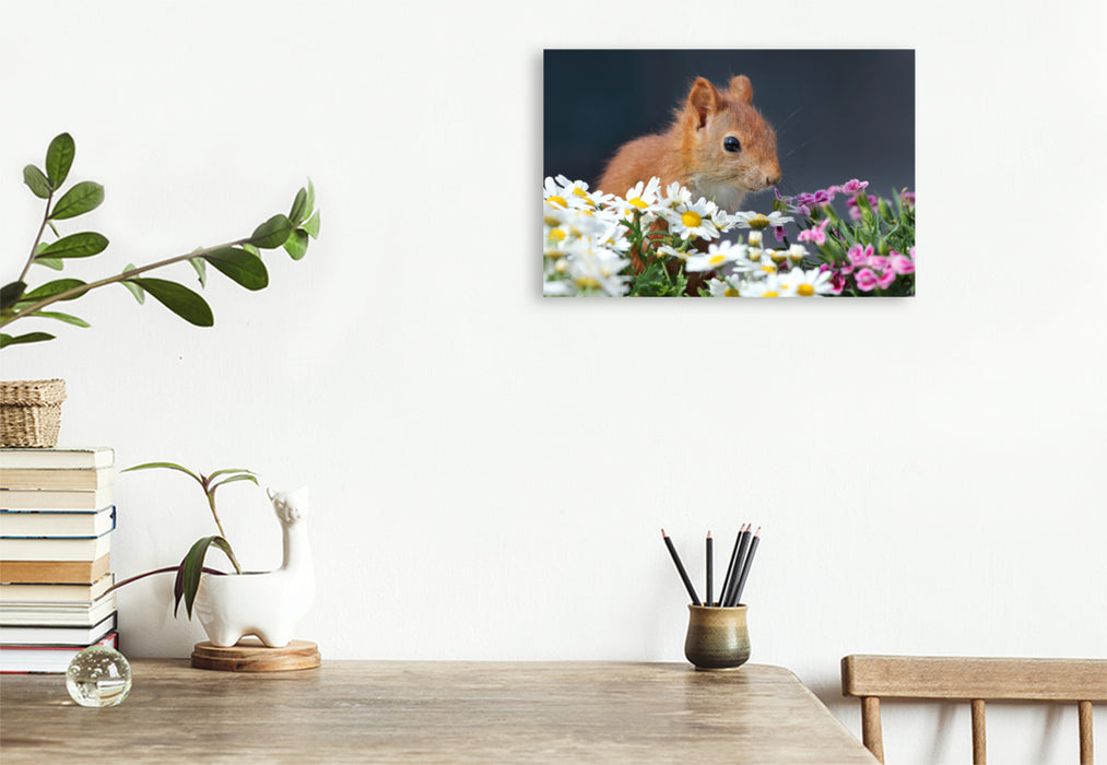 Premium textile canvas Premium textile canvas 120 cm x 80 cm landscape Chibs the flower squirrel 