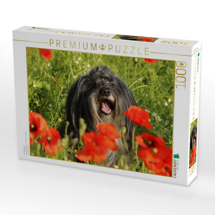 Im Mohnfeld - CALVENDO Foto-Puzzle'