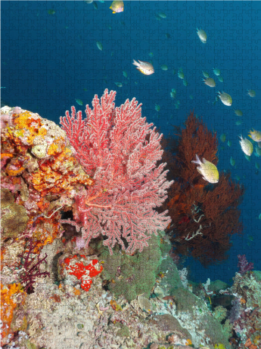 Colorful underwater world - CALVENDO photo puzzle 