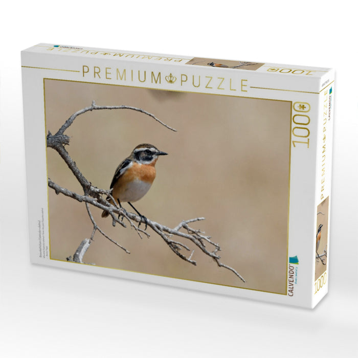 Braunkehlchen (Saxicola rubetra) - CALVENDO Foto-Puzzle'