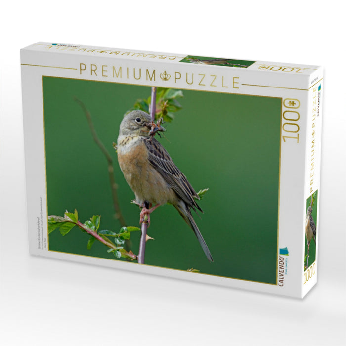 Ortolan (Emberiza hortulana) - CALVENDO Foto-Puzzle'