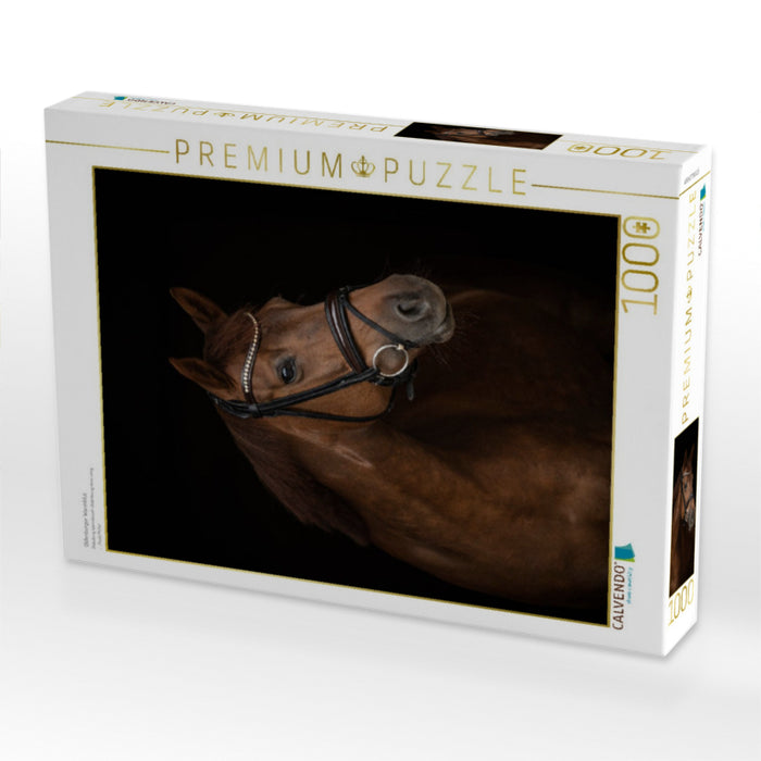 Oldenburger Warmblut - CALVENDO Foto-Puzzle'