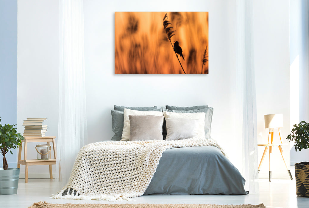Toile textile premium Toile textile premium 120 cm x 80 cm paysage Grande fauvette roseau au lever du soleil 