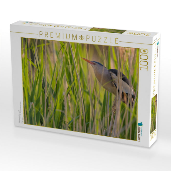 Zwergdommel im Schilf - CALVENDO Foto-Puzzle'