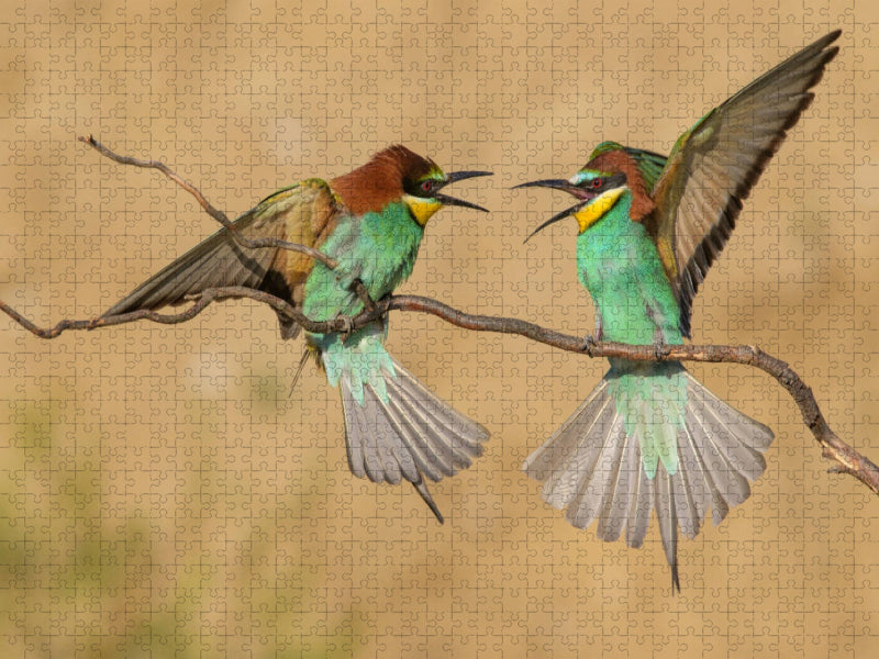 Ein Motiv aus dem Kalender Vogelwelt Südeuropas - CALVENDO Foto-Puzzle'