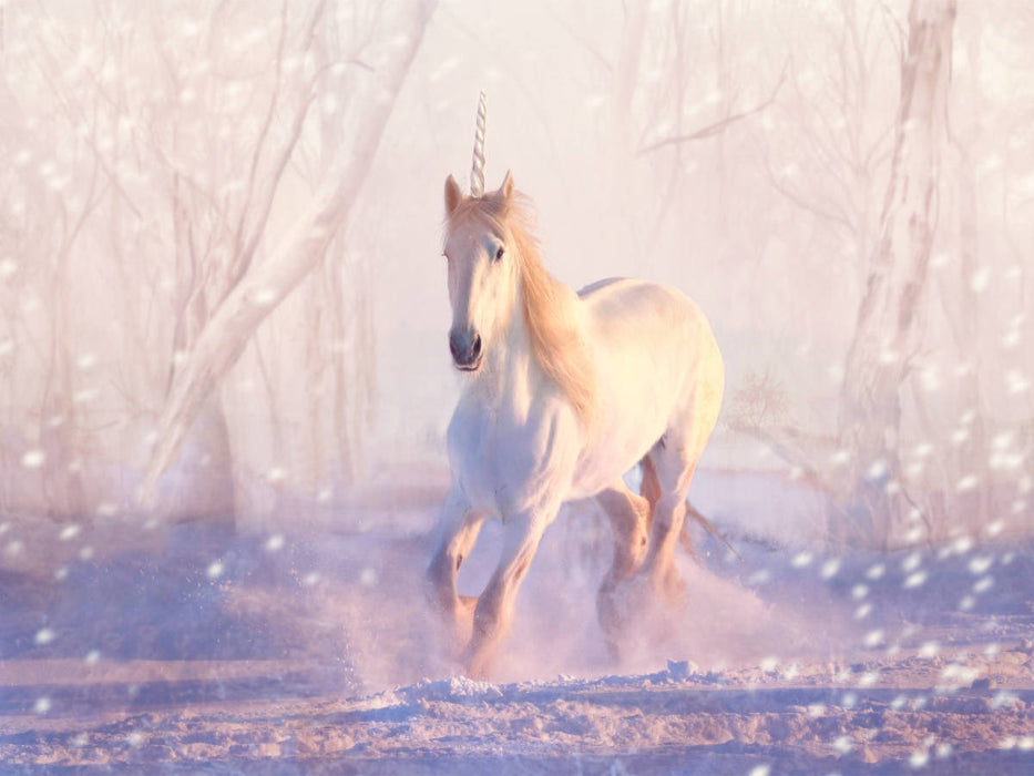 Mein Einhorn - CALVENDO Foto-Puzzle'