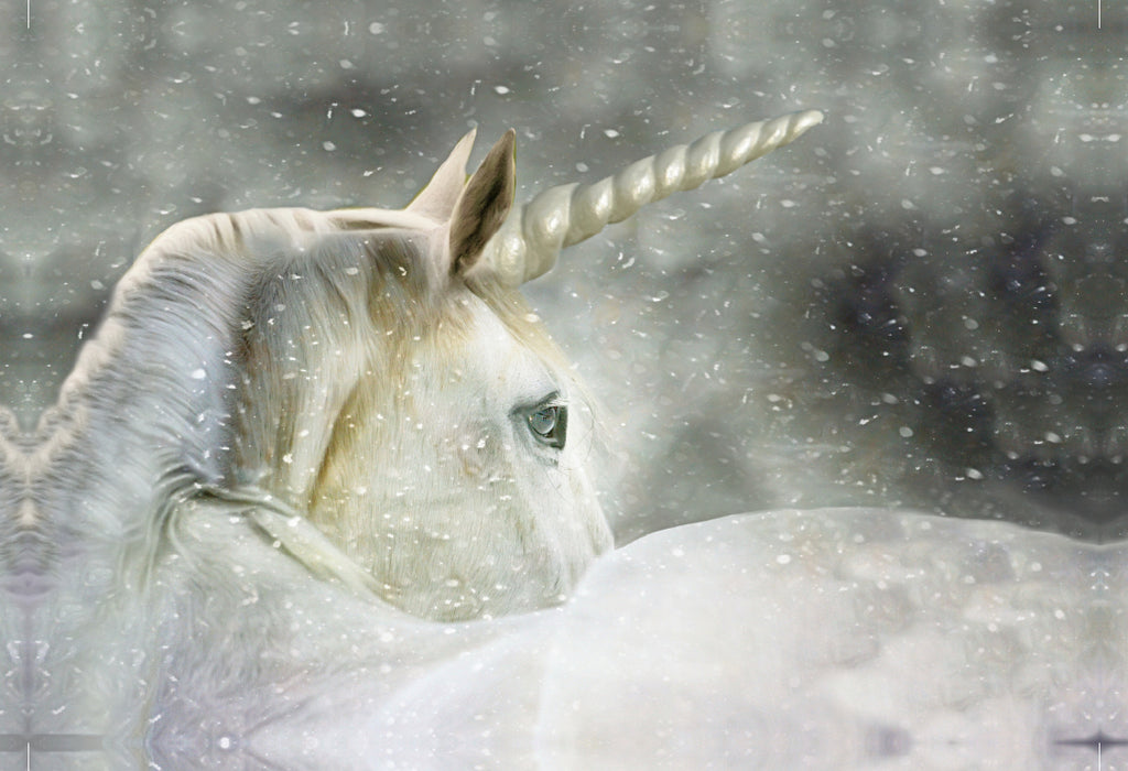 Premium Textil-Leinwand Mein Einhorn
