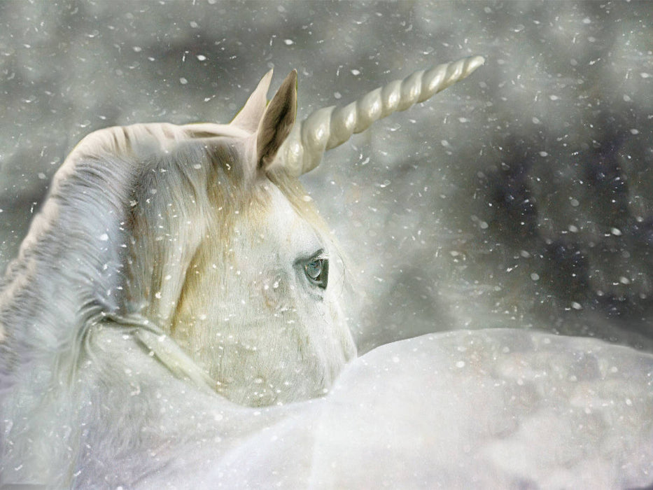 Mein Einhorn - CALVENDO Foto-Puzzle'