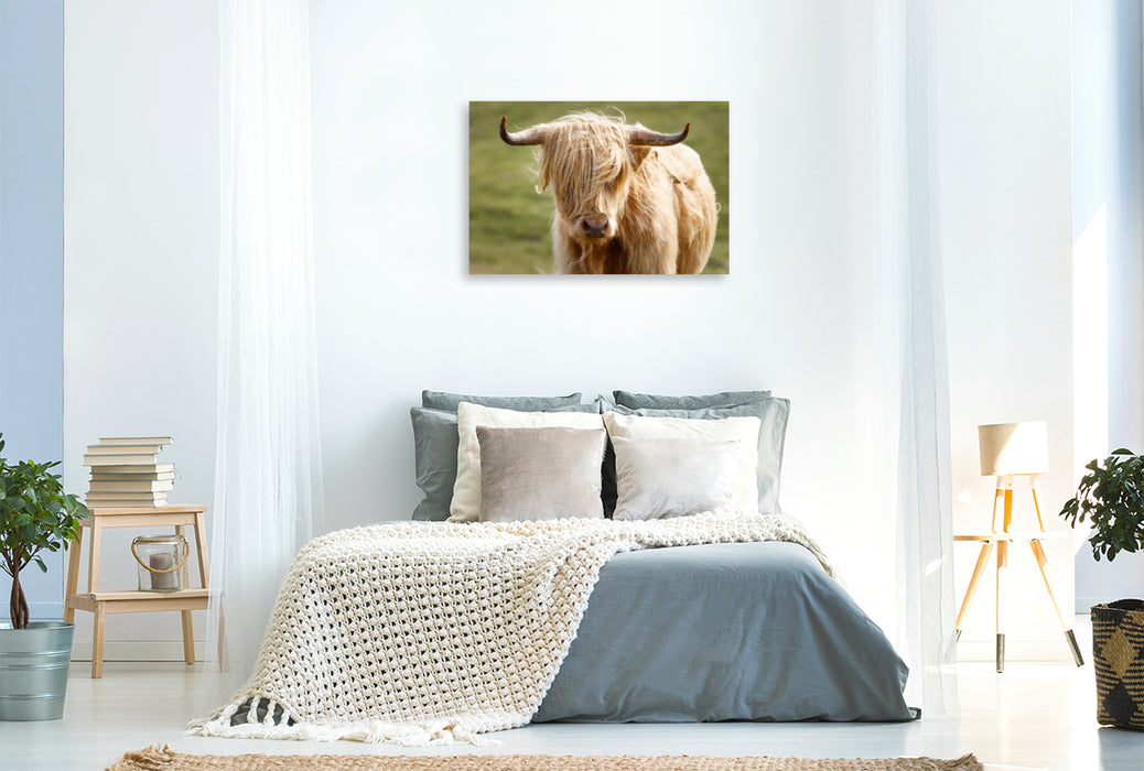 Toile textile haut de gamme Toile textile haut de gamme 120 cm x 80 cm paysage vache écossaise des Highlands 