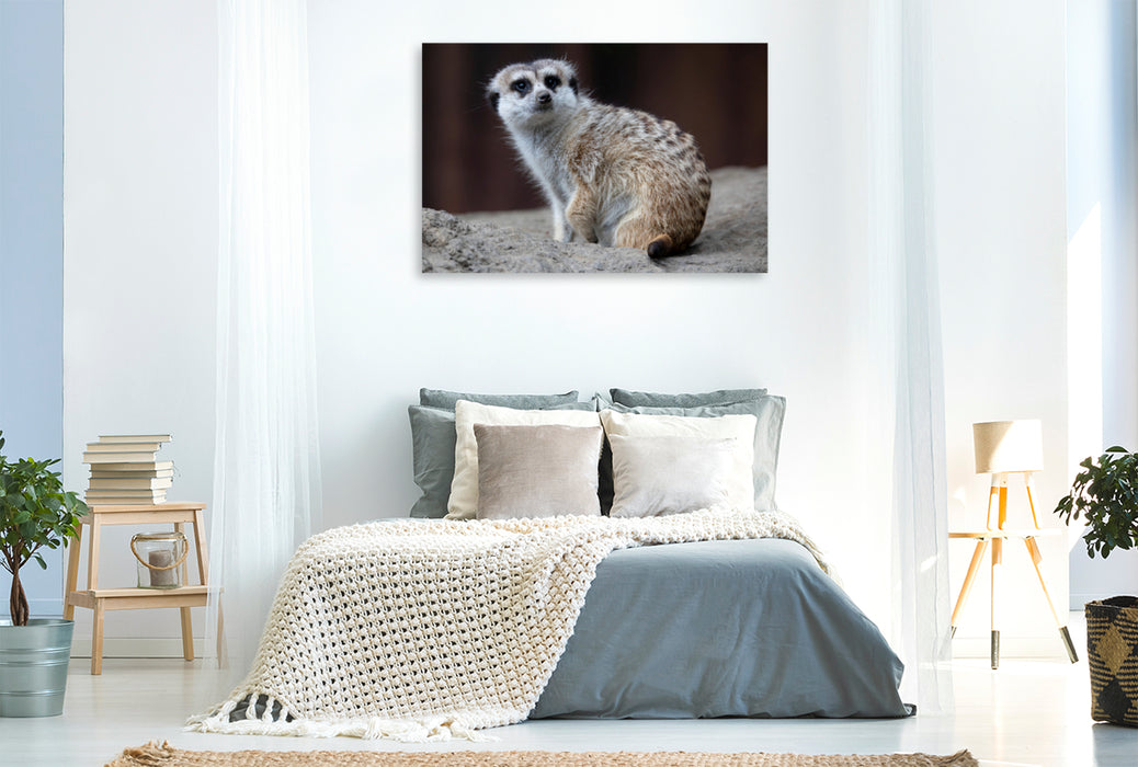 Toile textile haut de gamme Toile textile haut de gamme 120 cm x 80 cm de diamètre Un motif du calendrier Lively Meerkats 