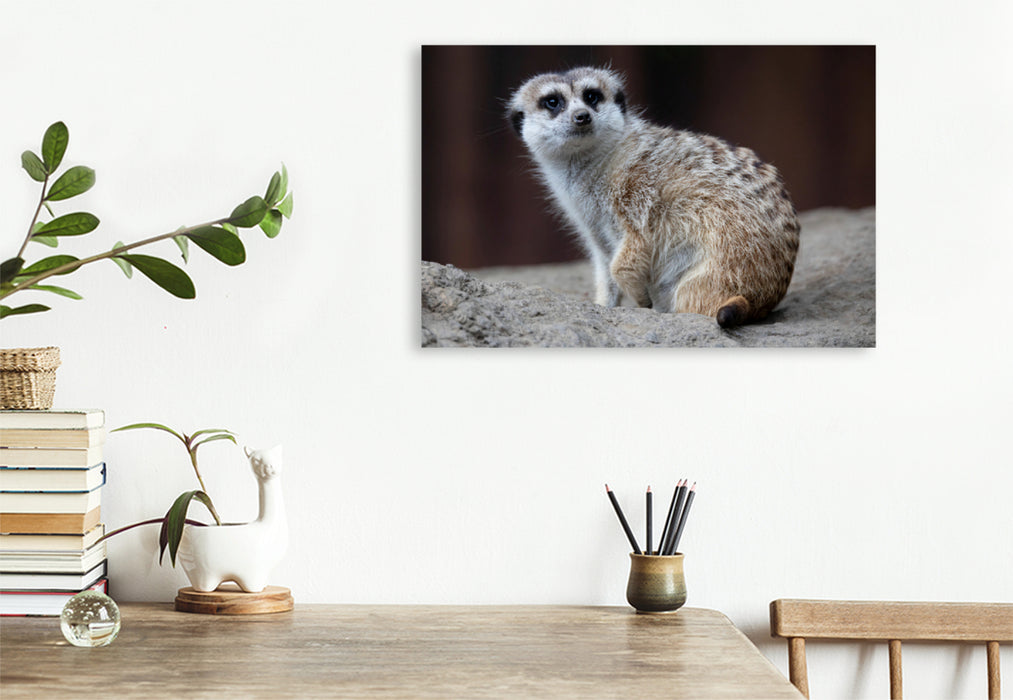 Toile textile haut de gamme Toile textile haut de gamme 120 cm x 80 cm de diamètre Un motif du calendrier Lively Meerkats 