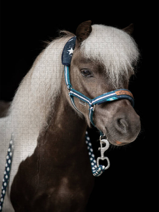 Shetland Pony - CALVENDO Foto-Puzzle'