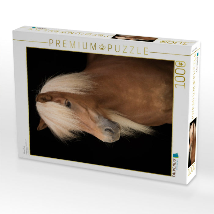 Island Pferd - CALVENDO Foto-Puzzle'