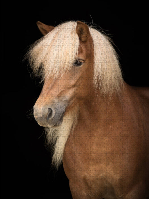 Island Pferd - CALVENDO Foto-Puzzle'