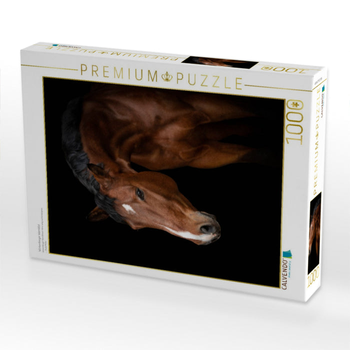 Würtemberger Warmblut - CALVENDO Foto-Puzzle'