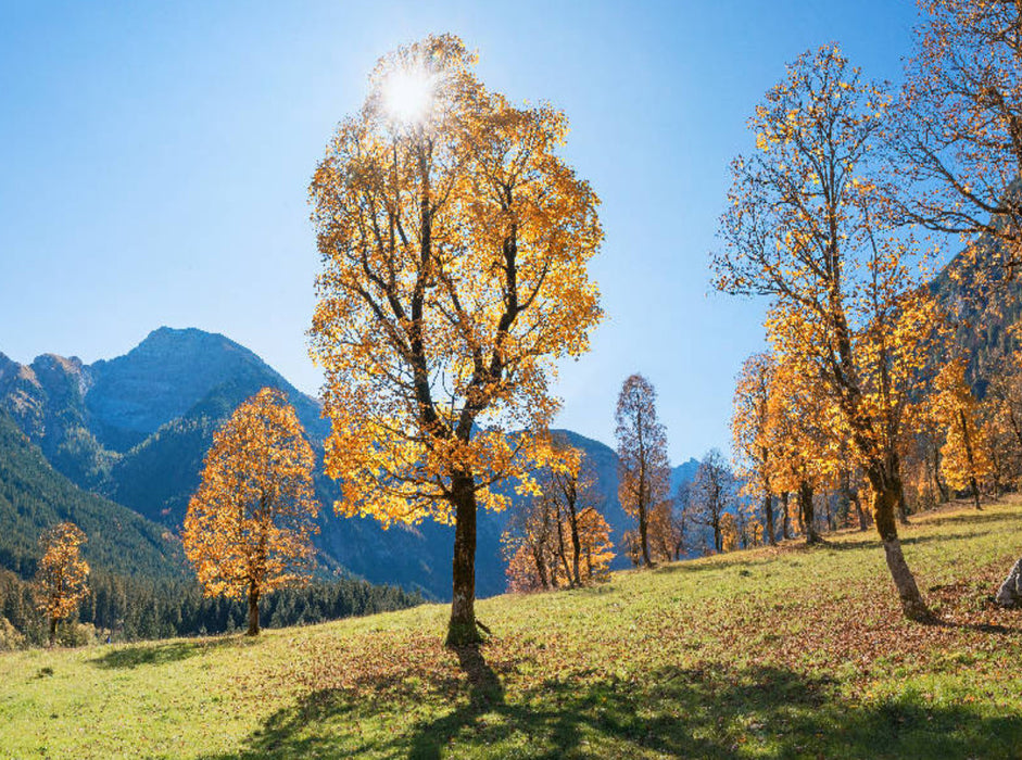 Herbstlandschaft am Ahornboden im Karwendel 2000 Teile Puzzle quer - CALVENDO Foto-Puzzle'