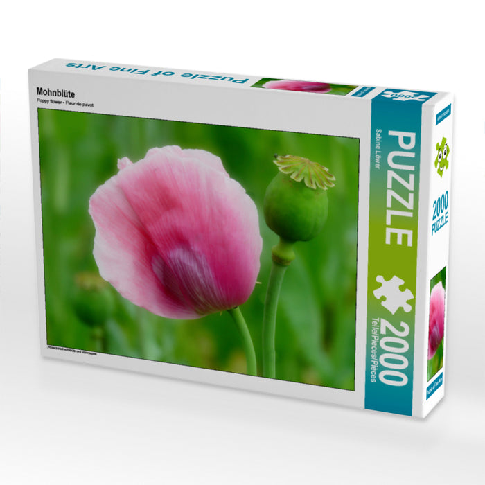 Mohnblüte 2000 Teile Puzzle quer - CALVENDO Foto-Puzzle'