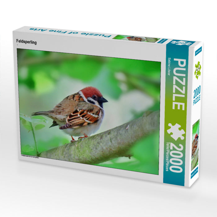 Moineau arboricole - Puzzle photo CALVENDO 