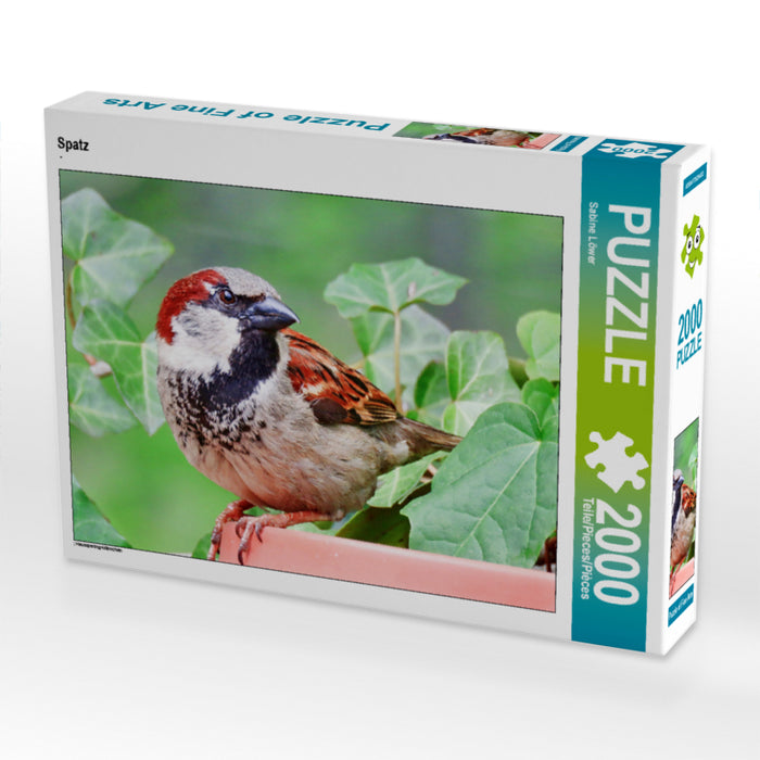 Sparrow - CALVENDO photo puzzle 