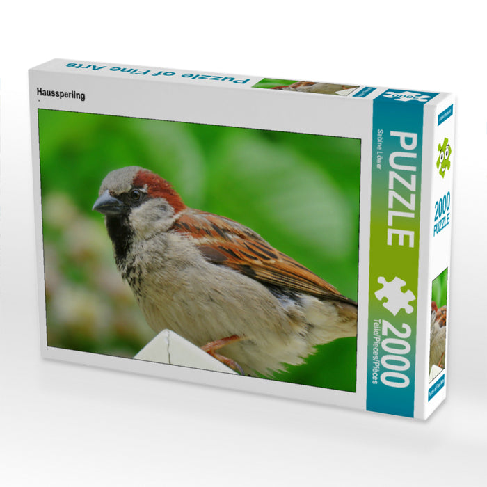 Haussperling 2000 Teile Puzzle quer - CALVENDO Foto-Puzzle'